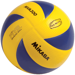 Melhor Bola de Vôlei Profissional