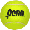 Penn Championship