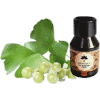 Óleo Vegetal de Ginkgo Biloba — Gran Oils
