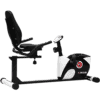 Bicicleta Ergométrica Horizontal KR 3.8 — Kikos