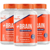 Kit +Brain — Biogens